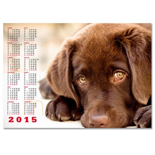 Kalendář nástěnný - roční na šířku - Roční kalendáře: Varianta 1