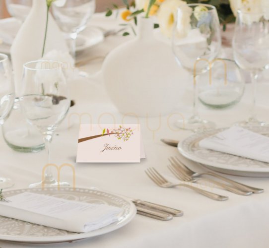 Svatební jmenovky na stůl - Svatební oznámení: 11